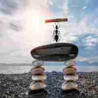 ai助‍手‌哪‌个​好‌用‌